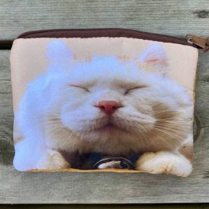 Fodral med kattmotiv
